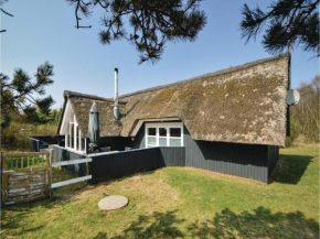 Holiday home Hedetoftvej in Dnmk IV